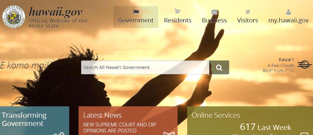 ehawaii dot gov portal picture